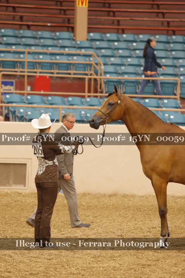 Proof 15YN_00059