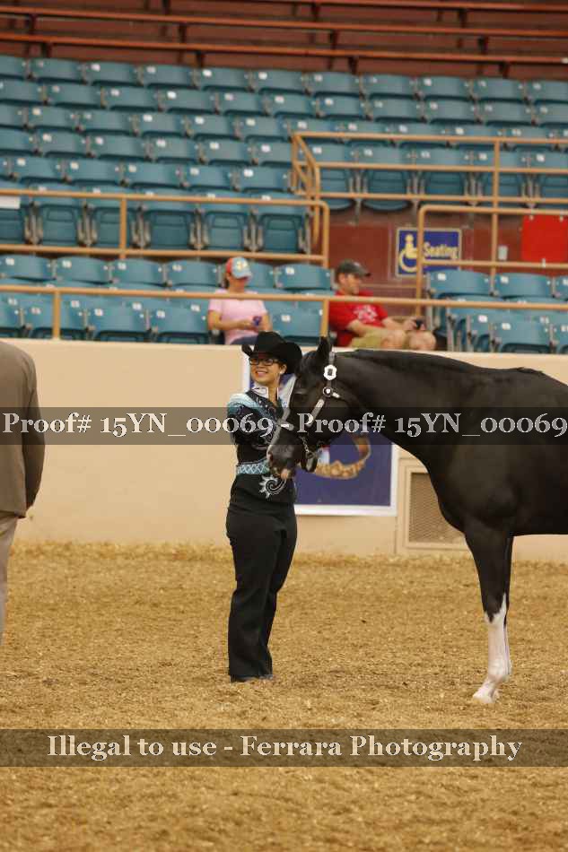 Proof 15YN_00069