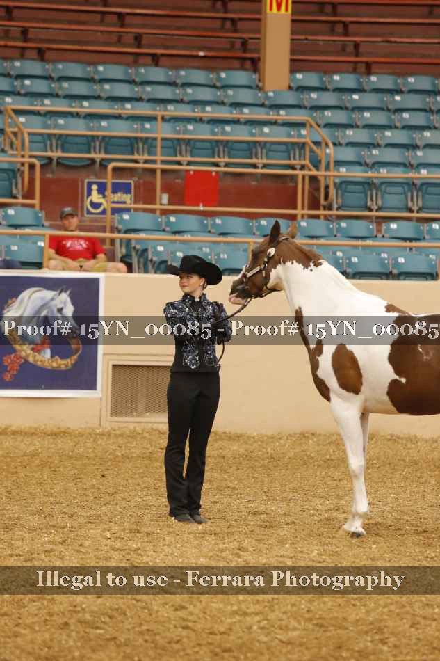 Proof 15YN_00085