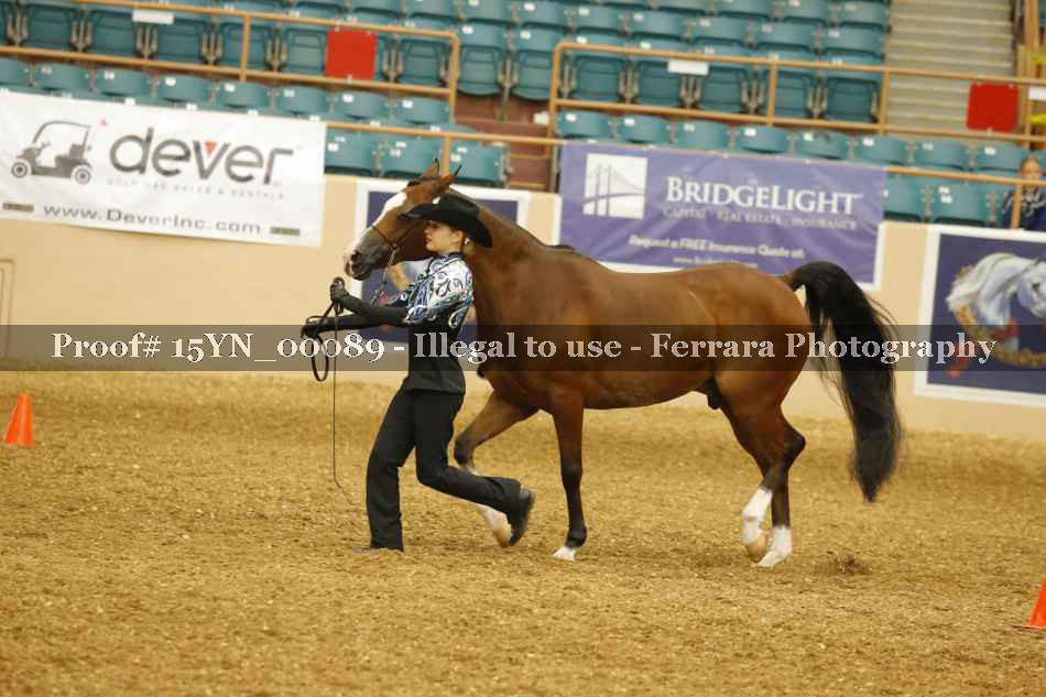Proof 15YN_00089