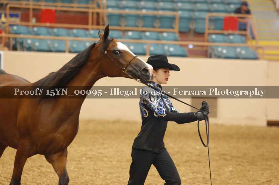Proof 15YN_00095