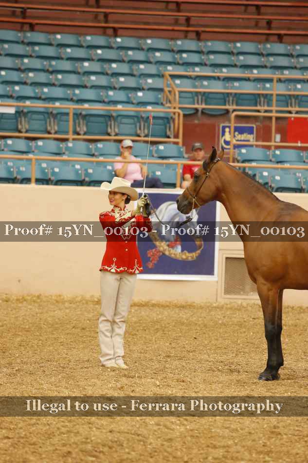 Proof 15YN_00103