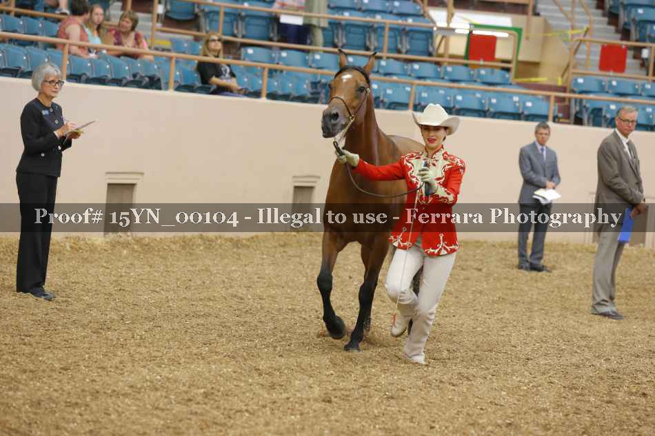Proof 15YN_00104