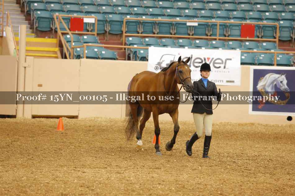 Proof 15YN_00105