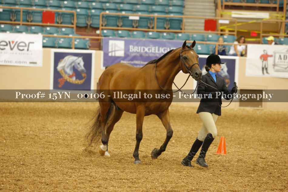 Proof 15YN_00106