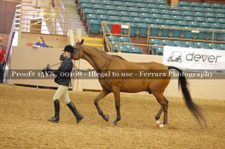Proof 15YN_00108