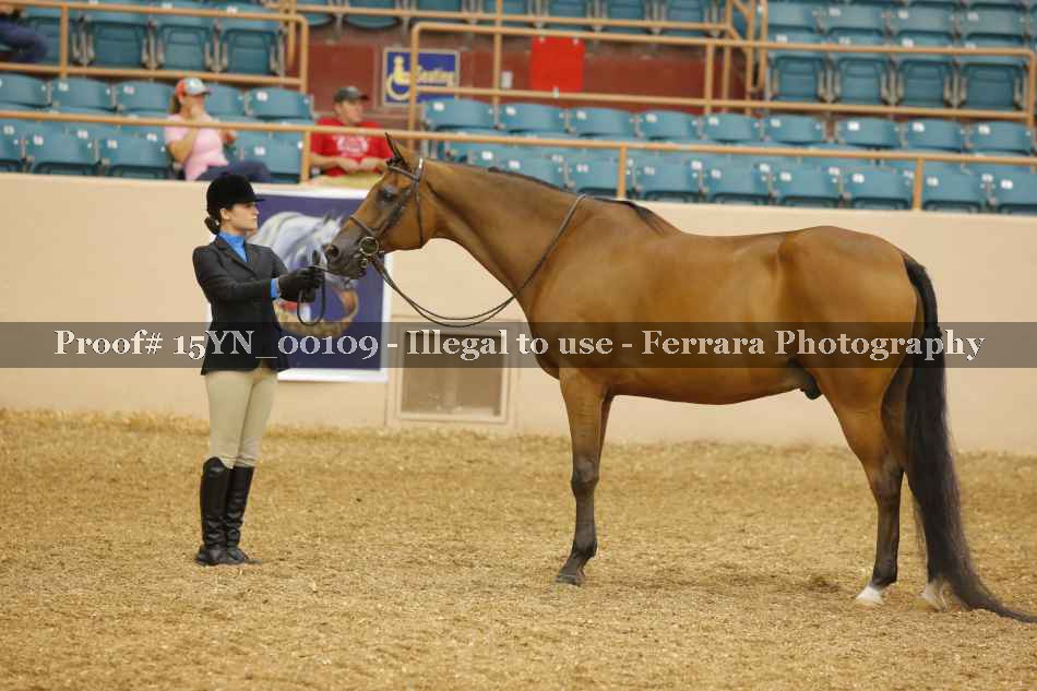 Proof 15YN_00109