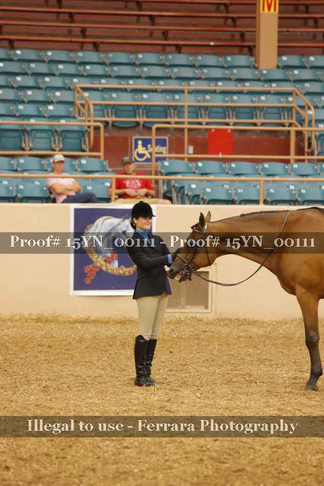 Proof 15YN_00111