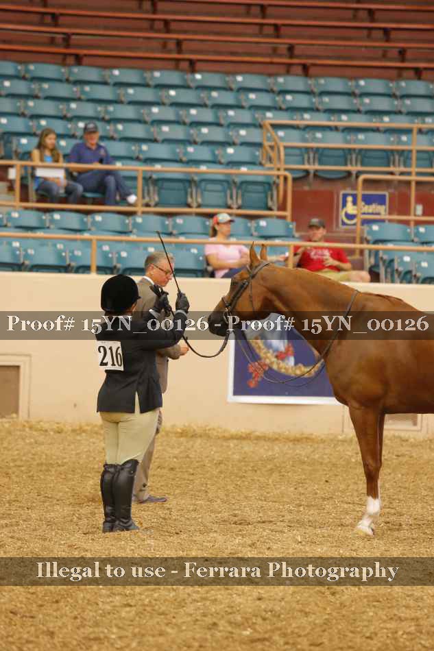 Proof 15YN_00126