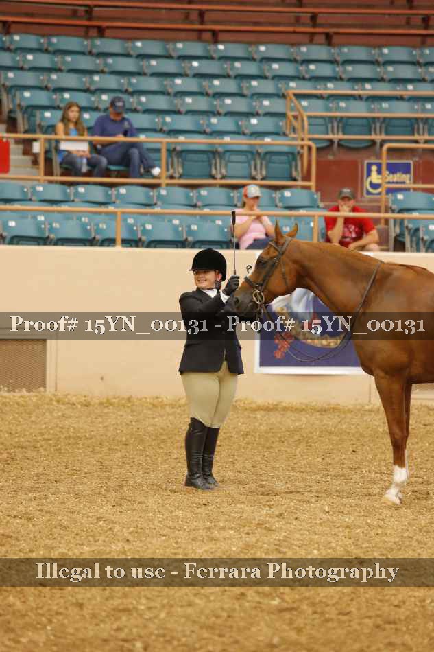 Proof 15YN_00131