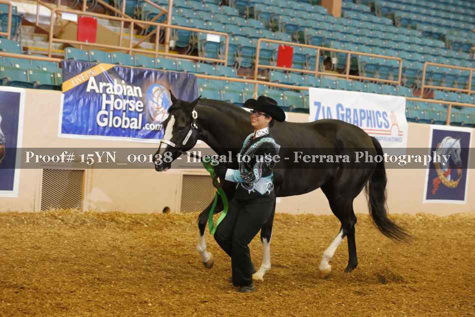 Proof 15YN_00138