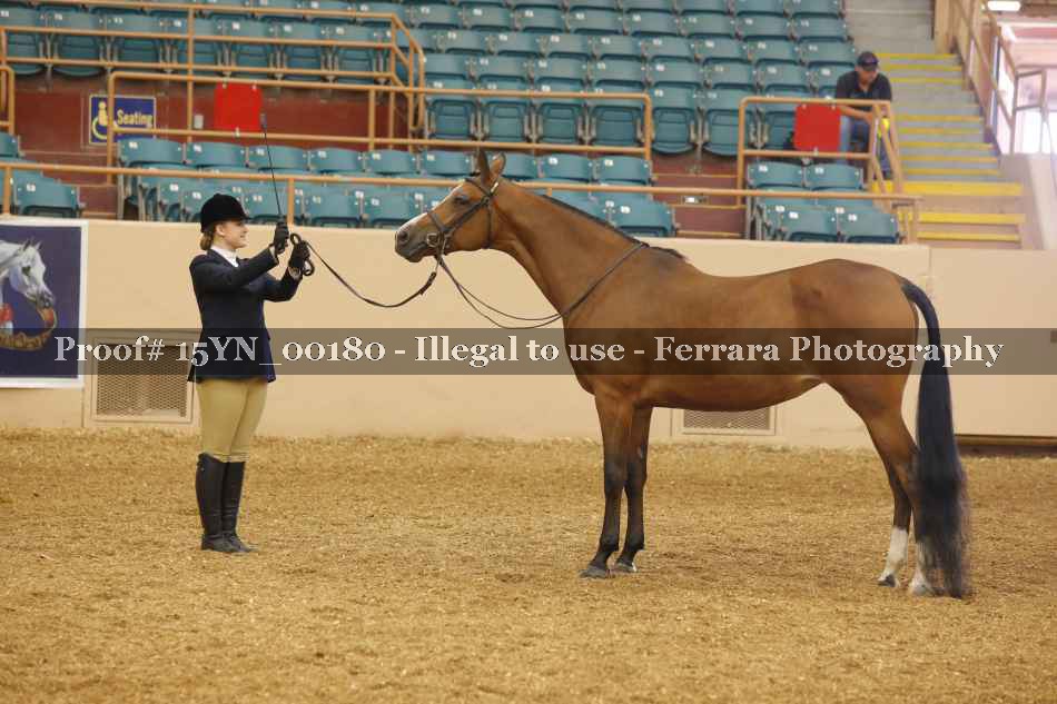 Proof 15YN_00180