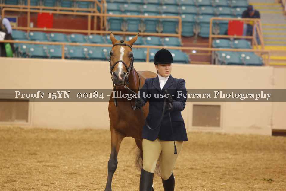 Proof 15YN_00184