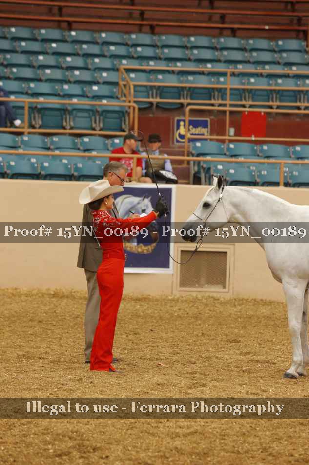 Proof 15YN_00189