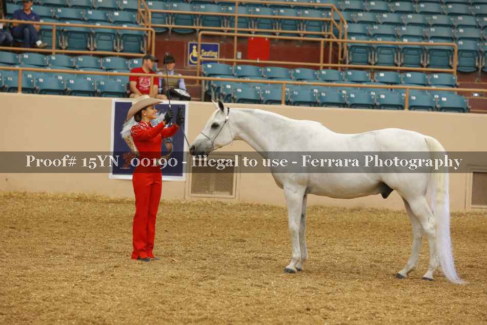 Proof 15YN_00190