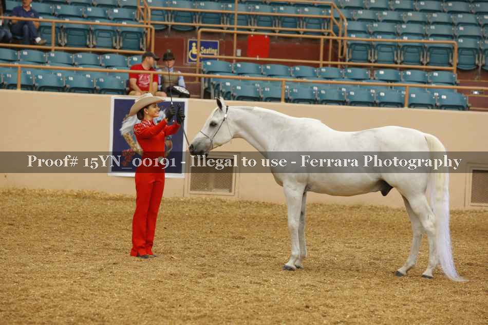 Proof 15YN_00191