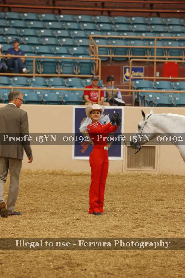 Proof 15YN_00192