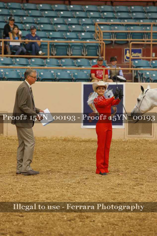 Proof 15YN_00193