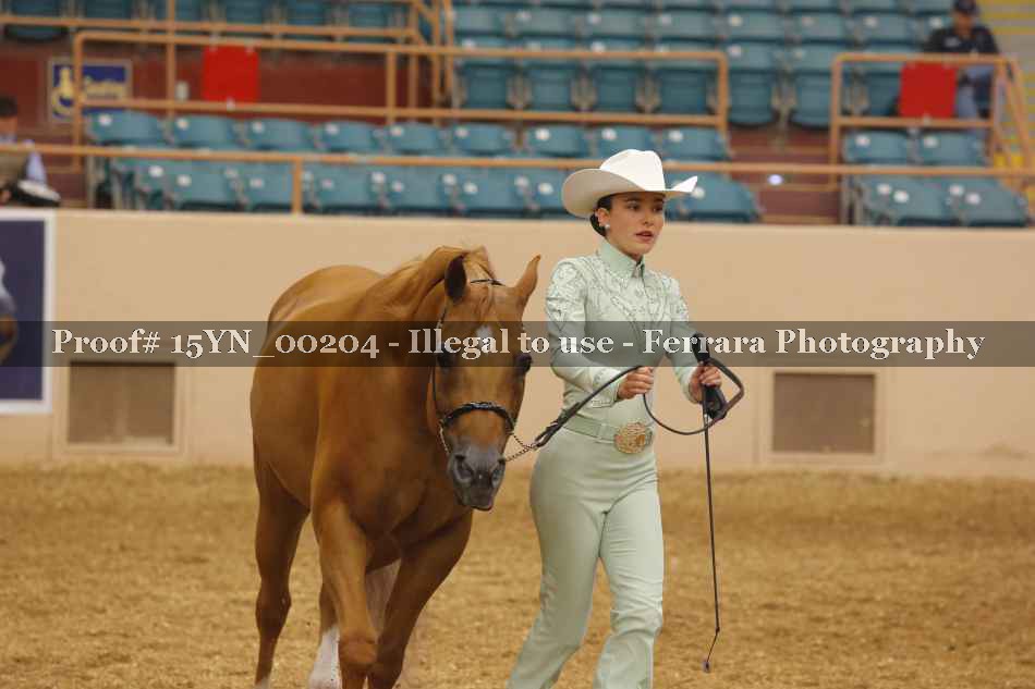 Proof 15YN_00204