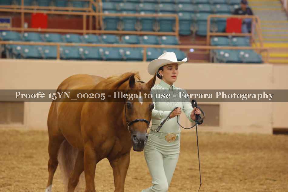 Proof 15YN_00205