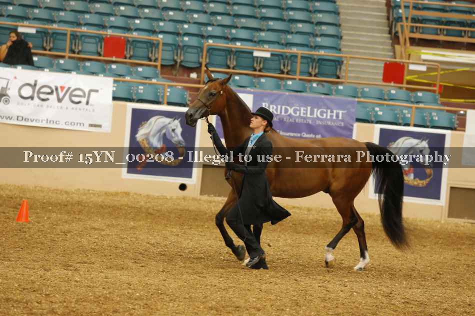 Proof 15YN_00208
