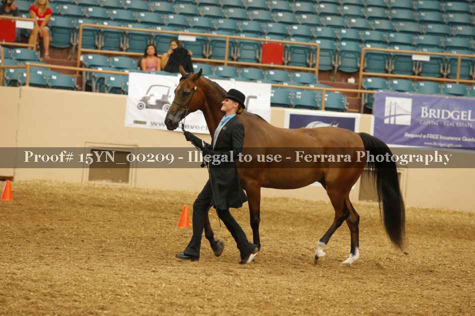 Proof 15YN_00209