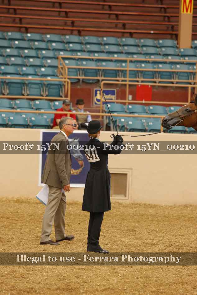 Proof 15YN_00210