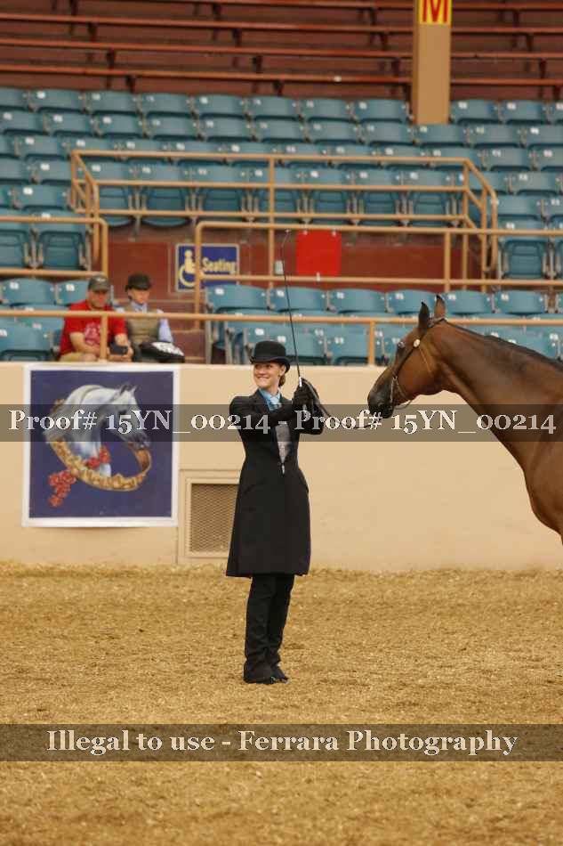 Proof 15YN_00214