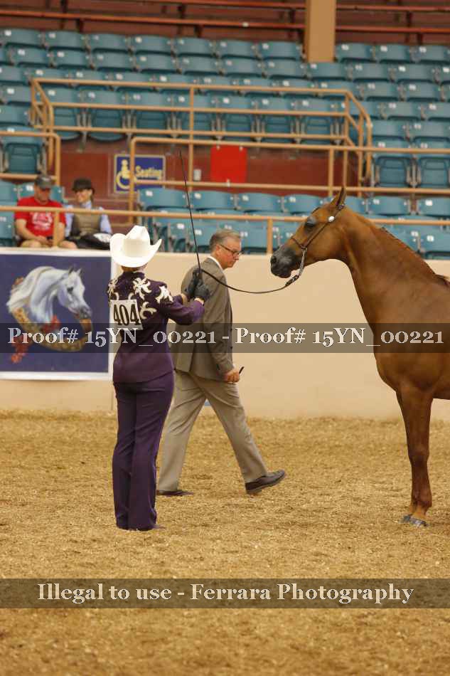 Proof 15YN_00221