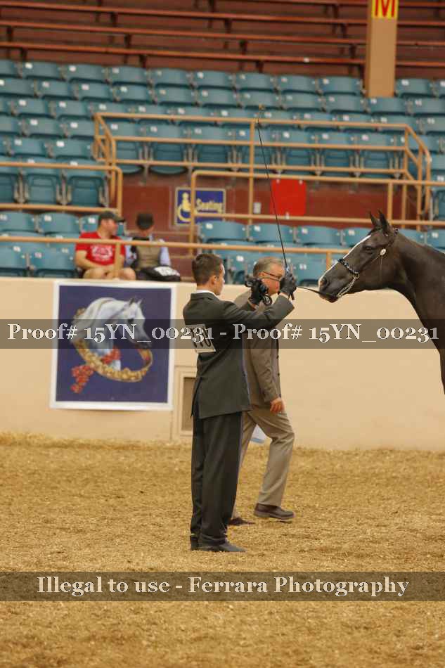Proof 15YN_00231