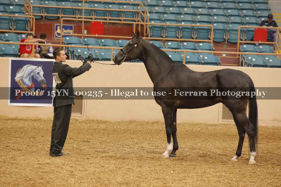 Proof 15YN_00235
