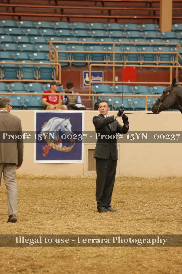 Proof 15YN_00237