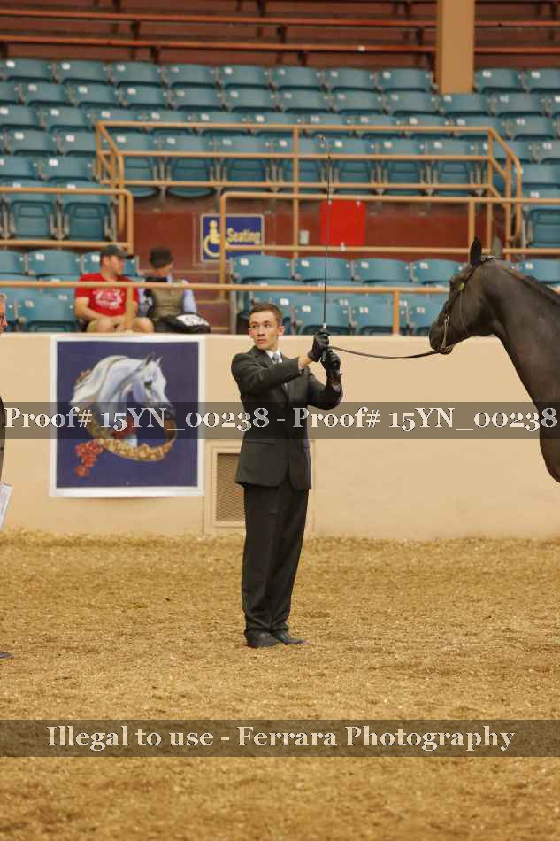 Proof 15YN_00238