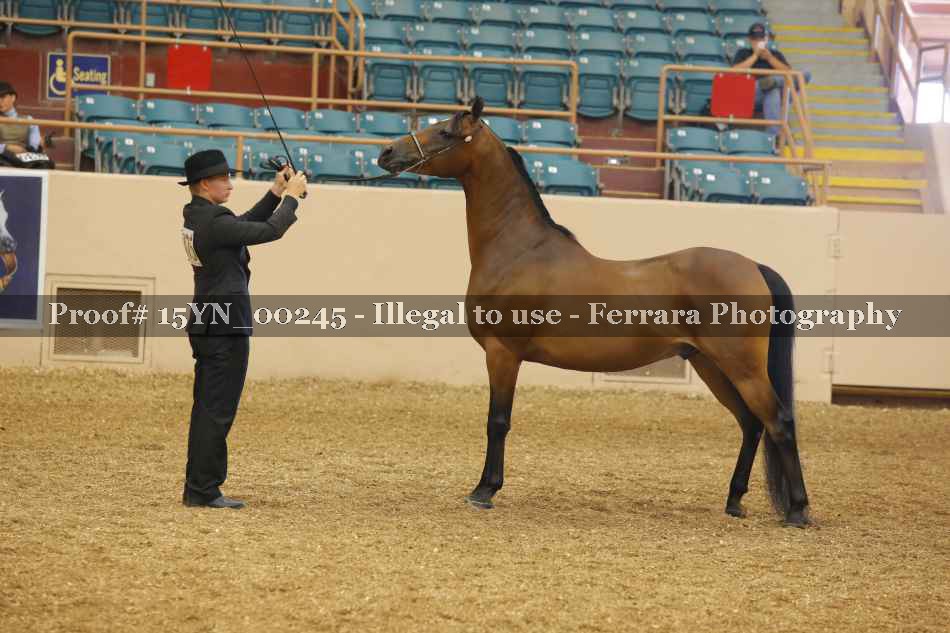 Proof 15YN_00245