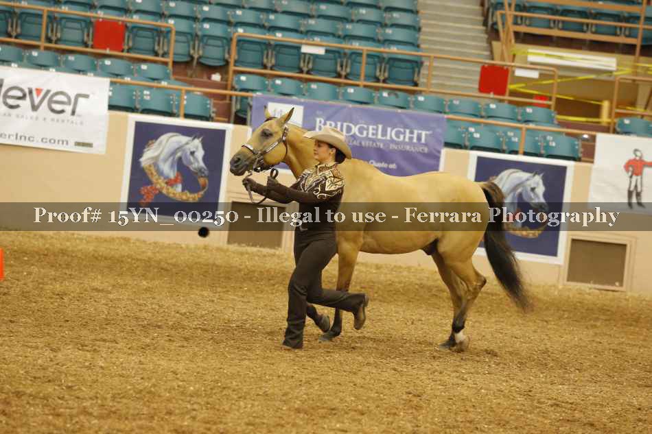 Proof 15YN_00250
