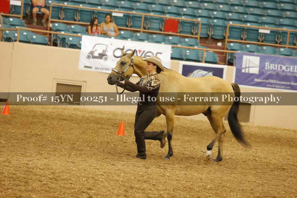 Proof 15YN_00251