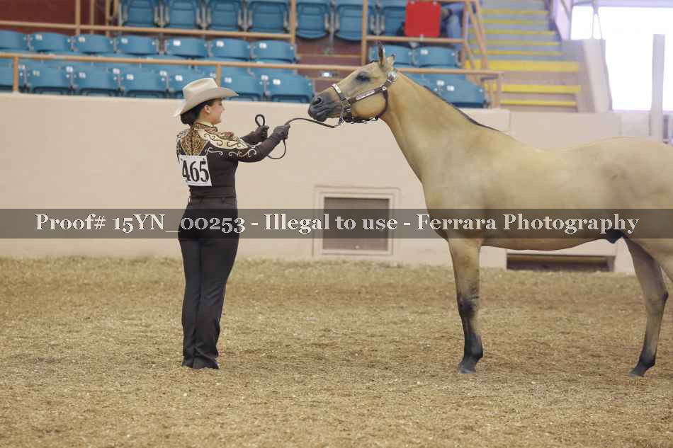 Proof 15YN_00253