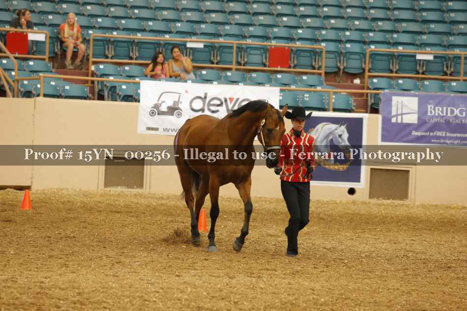 Proof 15YN_00256