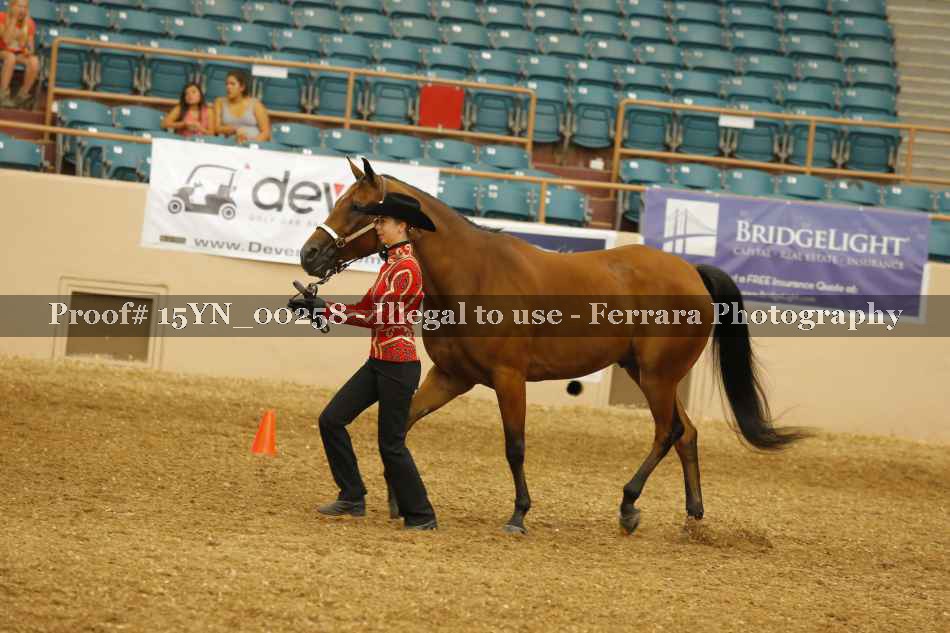 Proof 15YN_00258