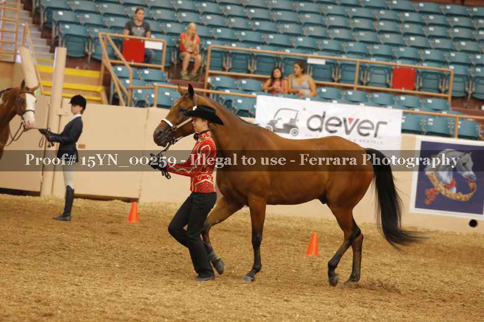 Proof 15YN_00259