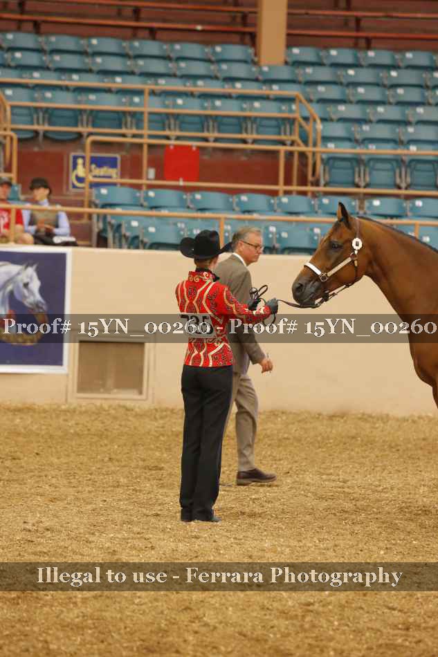Proof 15YN_00260