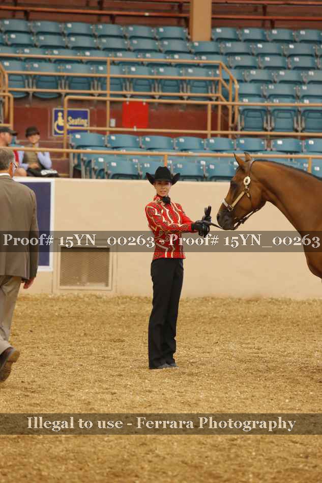 Proof 15YN_00263