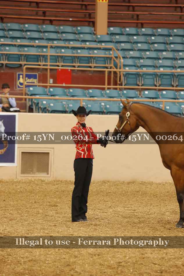 Proof 15YN_00264
