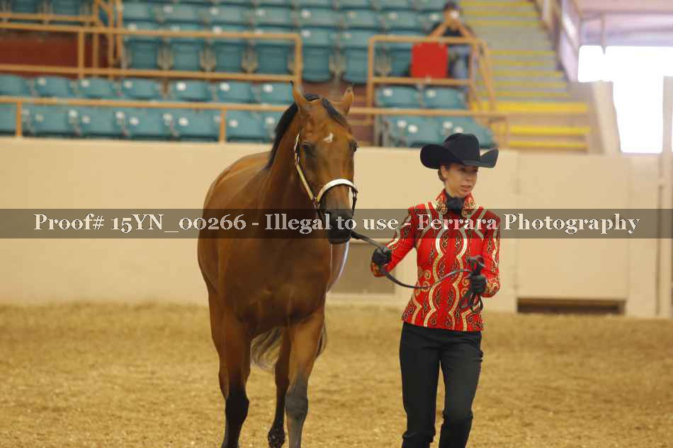 Proof 15YN_00266