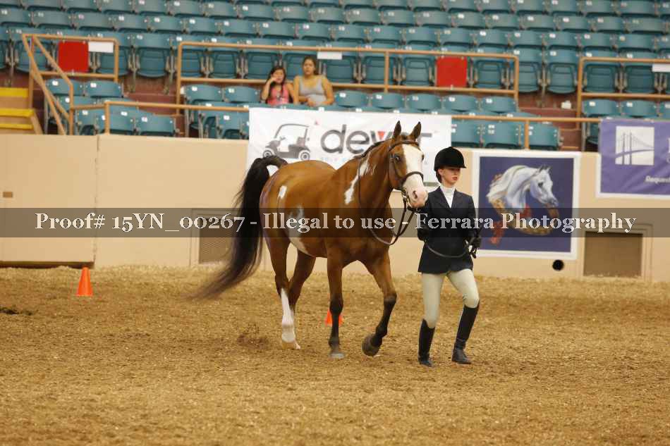 Proof 15YN_00267