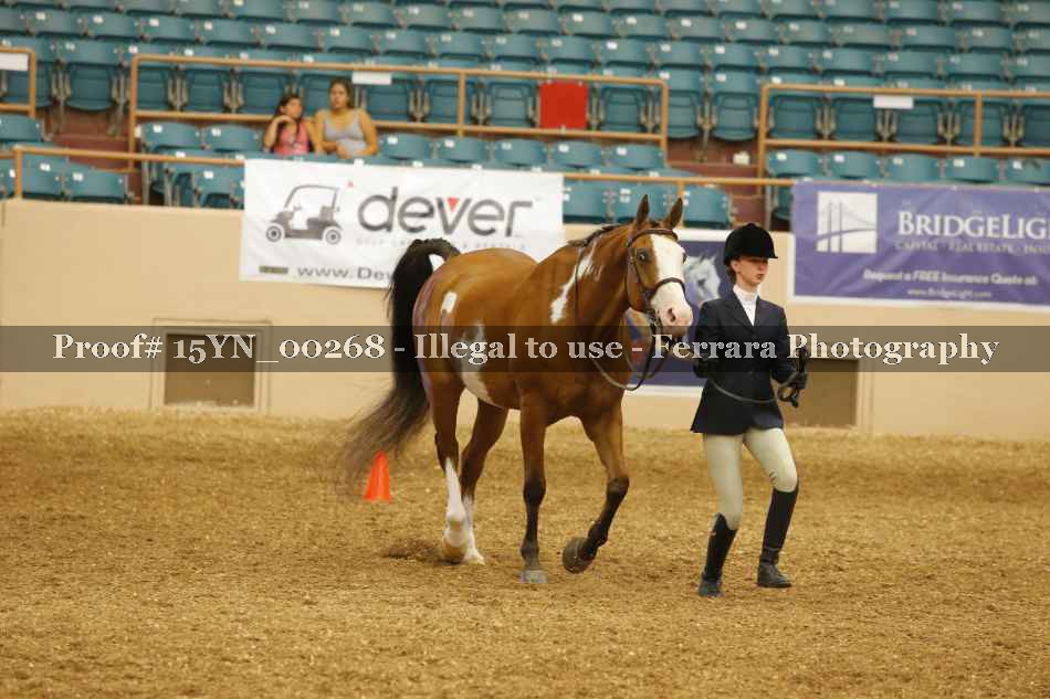 Proof 15YN_00268
