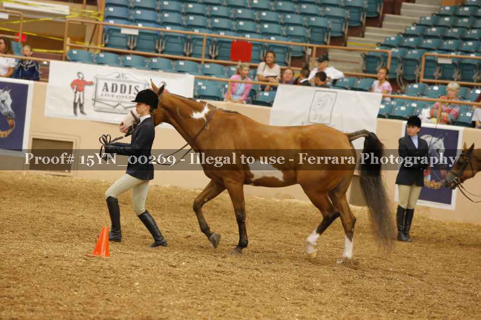Proof 15YN_00269