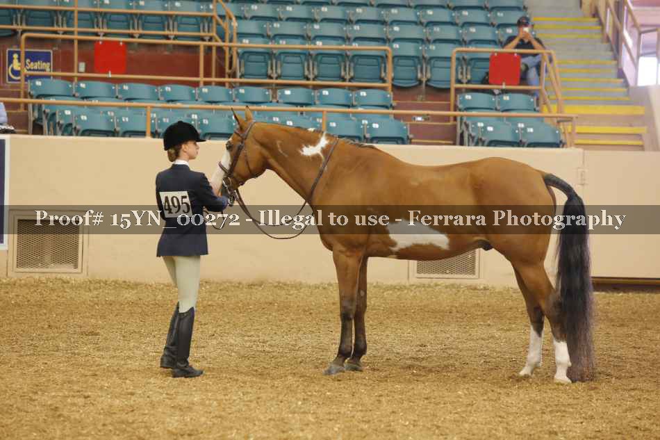 Proof 15YN_00272