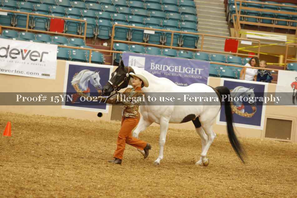 Proof 15YN_00277