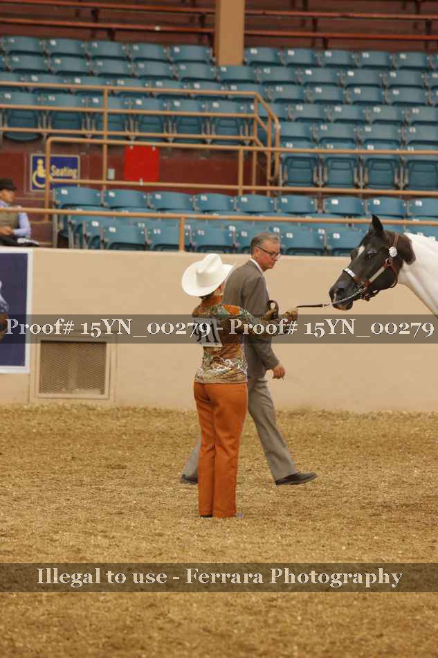 Proof 15YN_00279